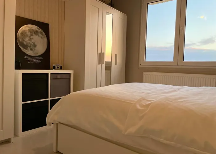 No 62 Ilioara Apartament Bucureşti